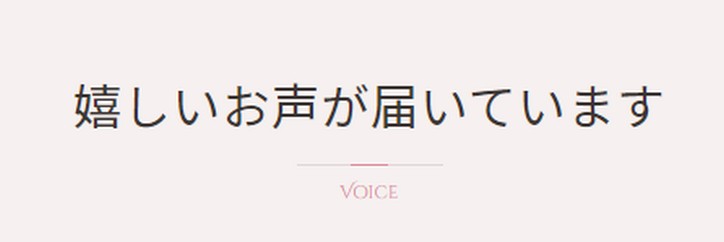 SOLIDEA JAPAN激安について